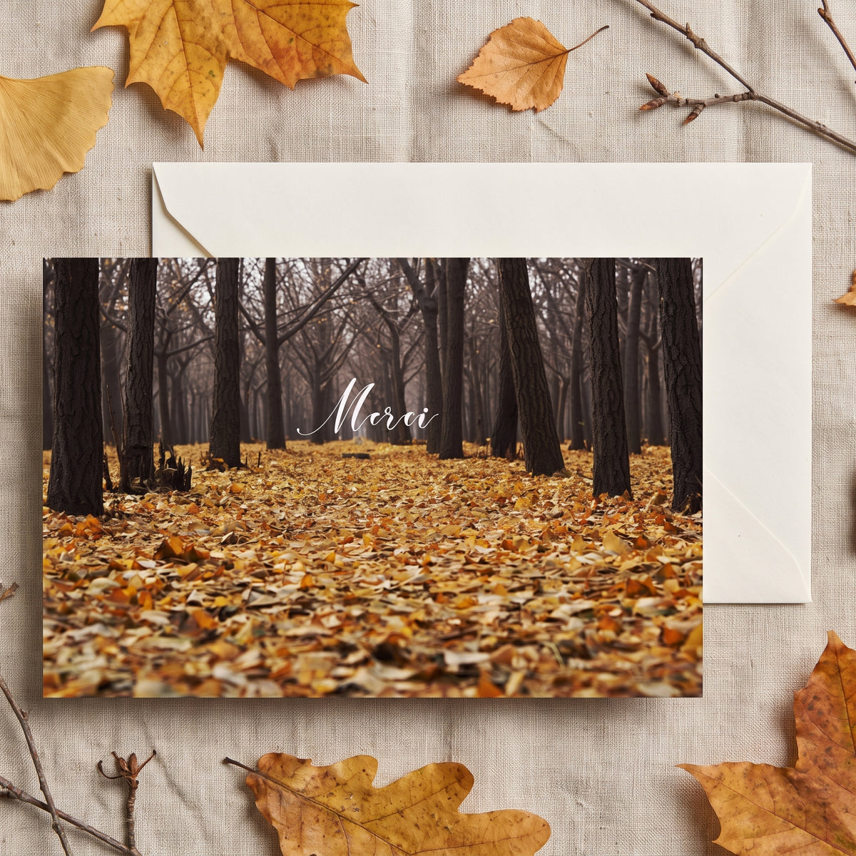 Carte de remerciement décès « Forêt en automne » — mise en ambiance